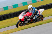 PJ-Motorsport-2019;anglesey-no-limits-trackday;anglesey-photographs;anglesey-trackday-photographs;enduro-digital-images;event-digital-images;eventdigitalimages;no-limits-trackdays;peter-wileman-photography;racing-digital-images;trac-mon;trackday-digital-images;trackday-photos;ty-croes